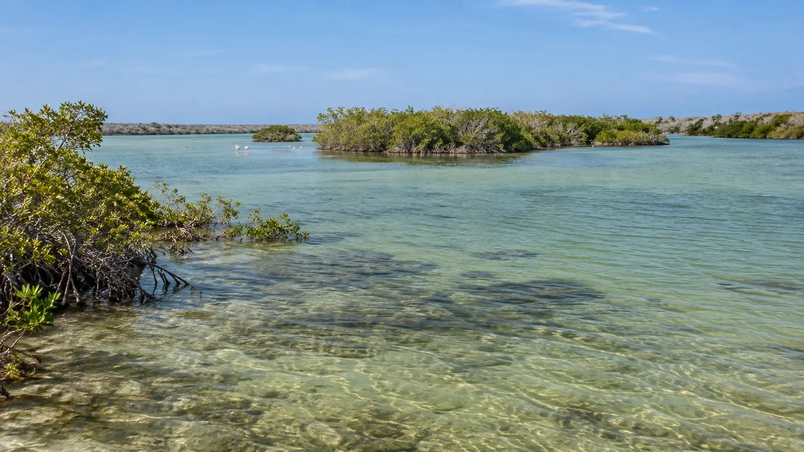 Yapay zekâyla oluşturulmuş temsili görsel: Laguna de Oviedo