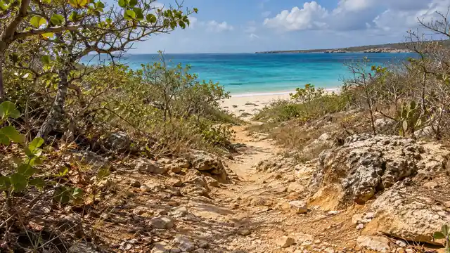AI-generated illustrative image: Cabo Rojo Beach and Coastal Adventure