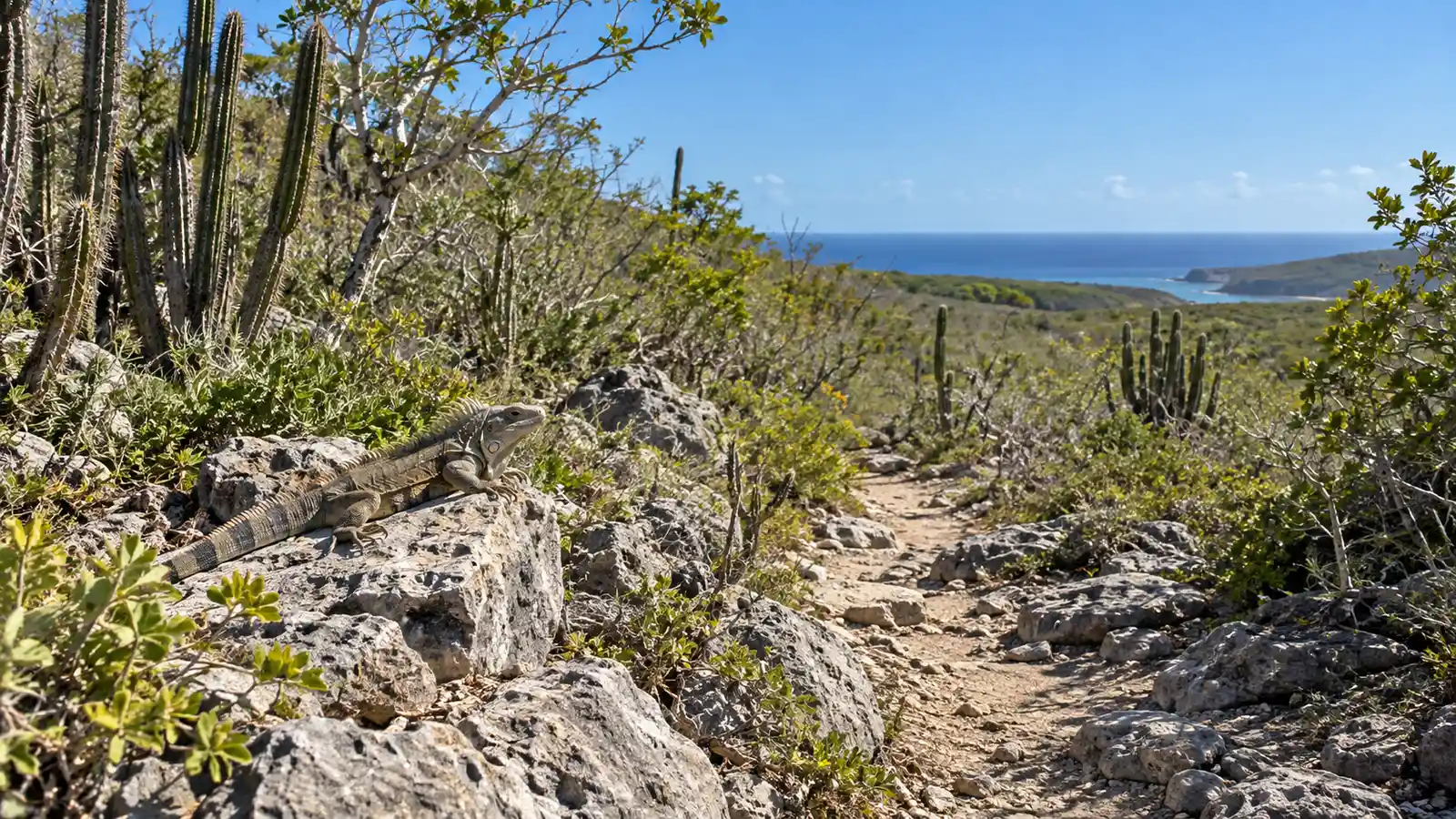 AI-generated illustrative image: Jaragua National Park Nature and Wildlife Tour
