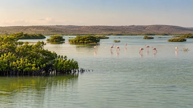 AI-generated illustrative image: Laguna de Oviedo Wildlife and Flamingo Tour